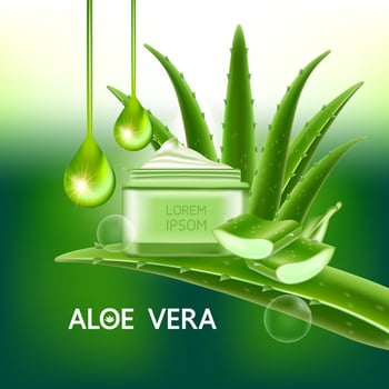 aloe vera collagen and serum for skin care cosmetic vector