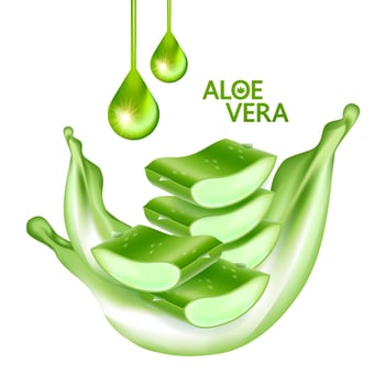 aloe vera collagen and serum for skin care cosmetic vector