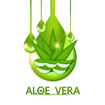 aloe vera collagen and serum for skin care cosmetic vector