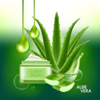 aloe vera collagen and serum for skin care cosmetic vector