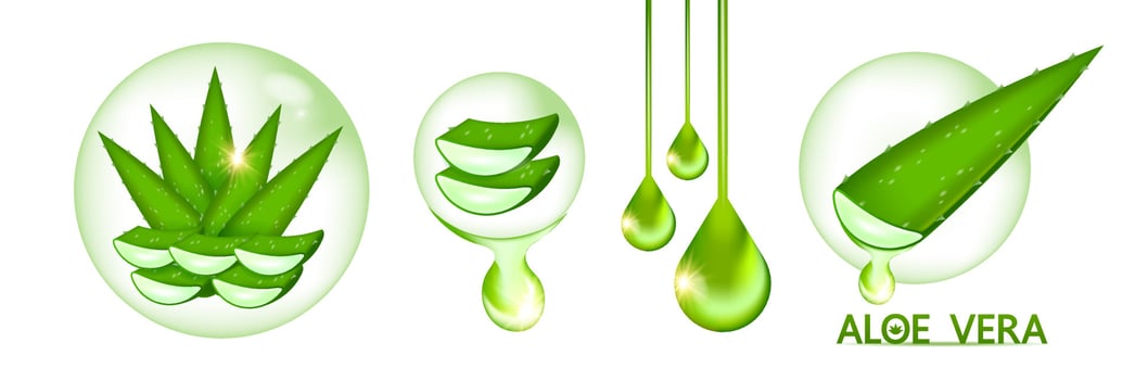 aloe vera collagen and serum for skin care cosmetic vector