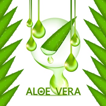 aloe vera collagen and serum for skin care cosmetic vector
