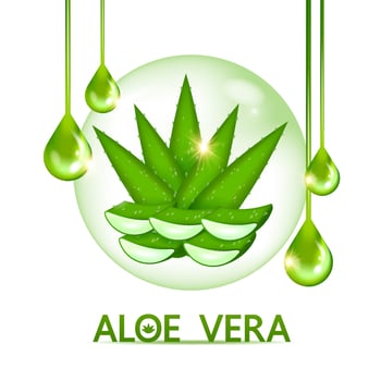 aloe vera collagen and serum for skin care cosmetic vector