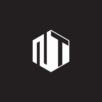 NT Logo monogram hexagon with black background negative space style vector