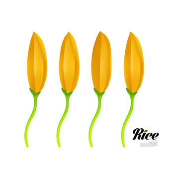 Premium Rice great quality design concept  vector. vector