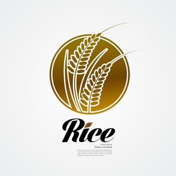 Premium Rice great quality design concept  vector. vector