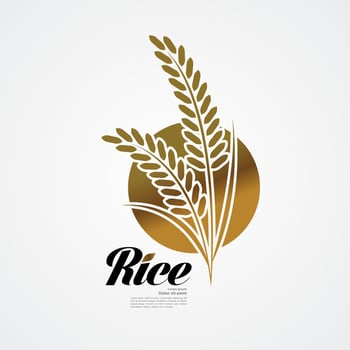 Premium Rice great quality design concept  vector. vector