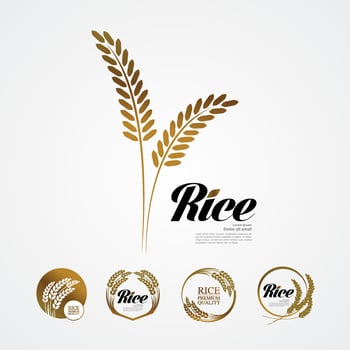 Premium Rice great quality design concept  vector. vector