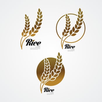 Premium Rice great quality design concept  vector. vector