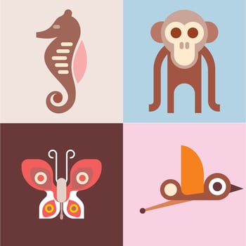 animals fish and birds bundle of vector icons