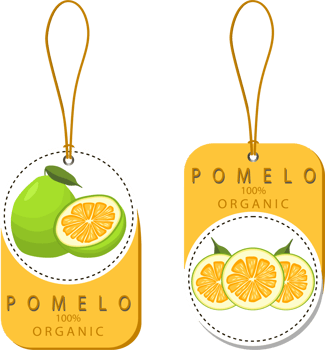 Sweet juicy tasty natural eco product pomelo png