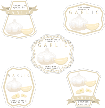 Sweet juicy tasty natural eco product garlic png