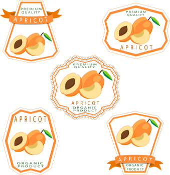 Sweet juicy tasty natural eco product apricot png