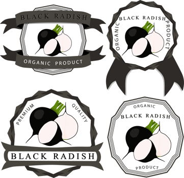 Sweet juicy tasty natural eco product radish png