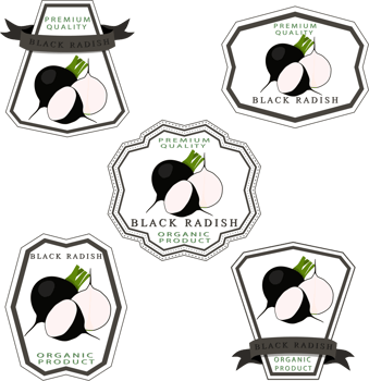 Sweet juicy tasty natural eco product radish png