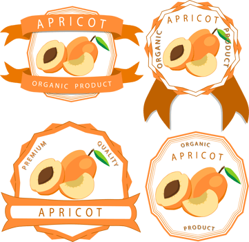 Sweet juicy tasty natural eco product apricot png