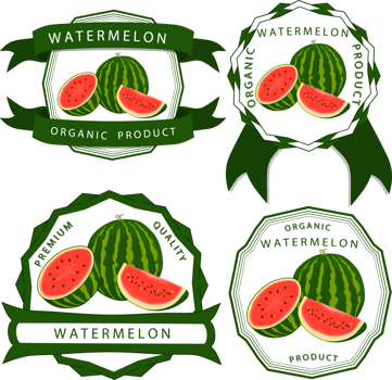 Sweet juicy tasty natural eco product watermelon png