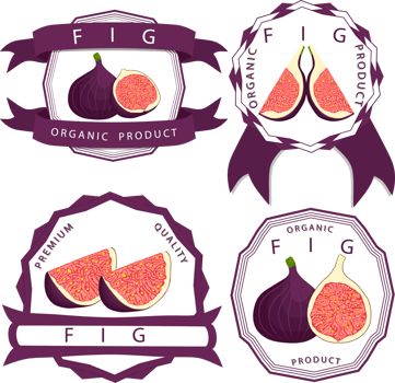 Sweet juicy tasty natural eco product fig png