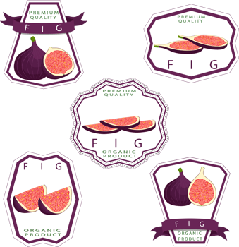 Sweet juicy tasty natural eco product fig png