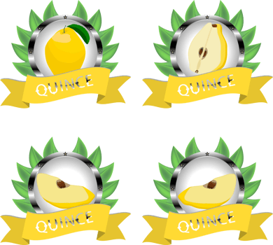 Sweet juicy tasty natural eco product quince png