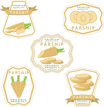 Sweet juicy tasty natural eco product parsnip png