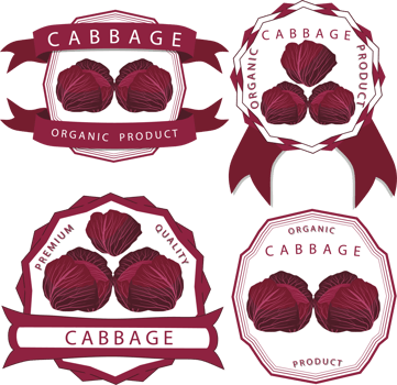 Sweet juicy tasty natural eco product cabbage png