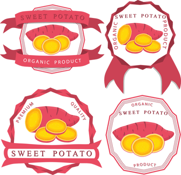 Sweet juicy tasty natural eco product potato png
