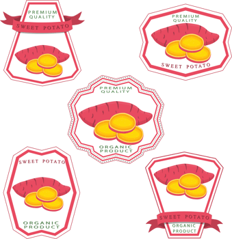 Sweet juicy tasty natural eco product potato png