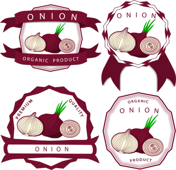 Sweet juicy tasty natural eco product onion png