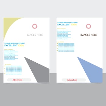 Professional Business flyer template pro vector