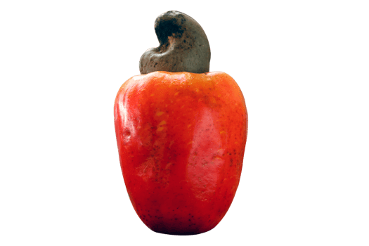 Cashew fresh originating from Para, Brazil png