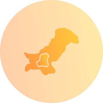 Map Vector Icon