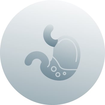 Stomach Vector Icon