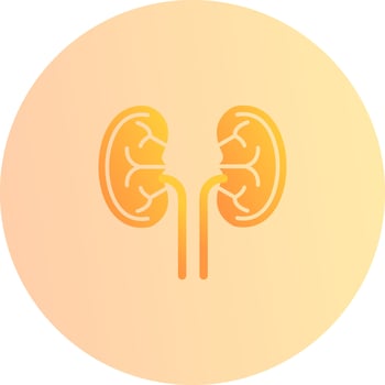 Circulation Unique Vector Icon
