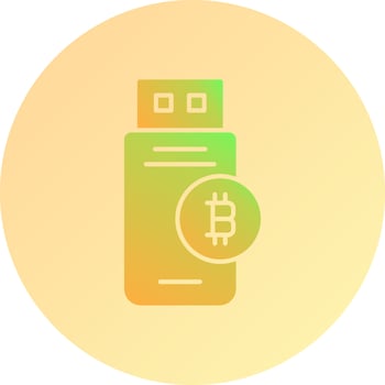 Bitcoin Usb Device Vector Icon
