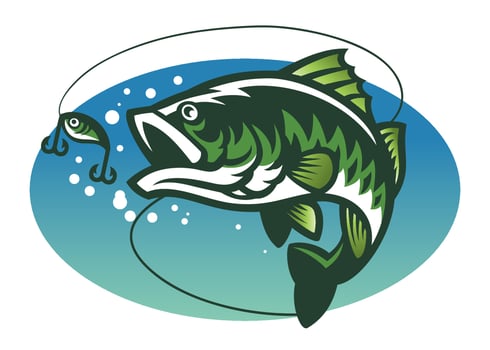 largemouth bass fish mascot vector