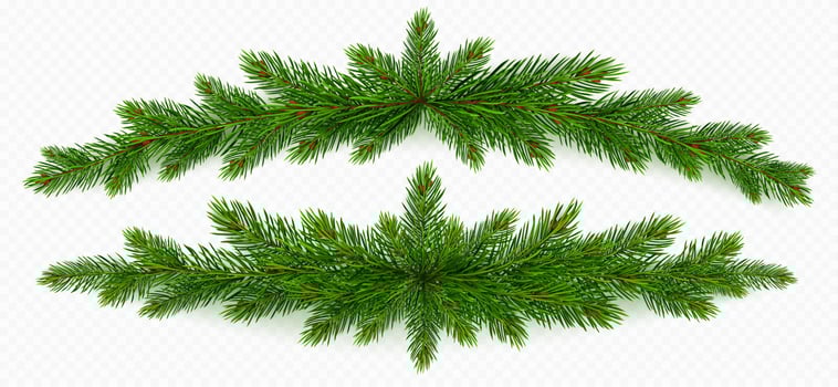 Pine tree branch christmas garland. green fir twig vector