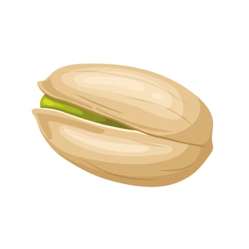 pistachio organic food cartoon vector illustration
