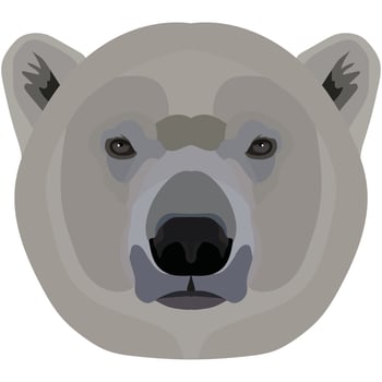 Polar bear. The face of the wild animal of Antarctica is depicted in vector style. Bright image of an animal. Logo, illustration isolated on white background.