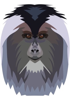 Lion-tailed macaque. The face of the monkey is depicted in vector style. A vivid image of a primate. Logo, illustration on a white background.
