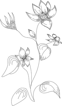 Flowers drawing with line-art on white backgrounds vector