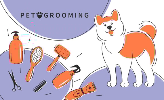Pet grooming. Cute dog with different tools for animal hair grooming, haircuts, bathing, hygiene. Pet care salon Vector illustration for pet care salon.