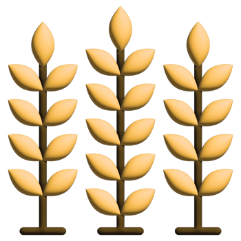 3D illustration wheat in nature set png