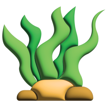 3D illustration seaweed in nature set png
