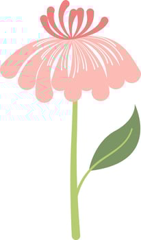 Flower vector design