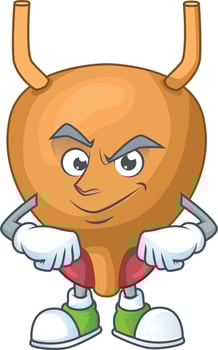 Bladder Cartoon character vector