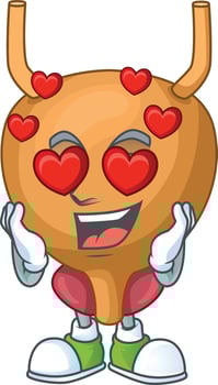 Bladder Cartoon character vector