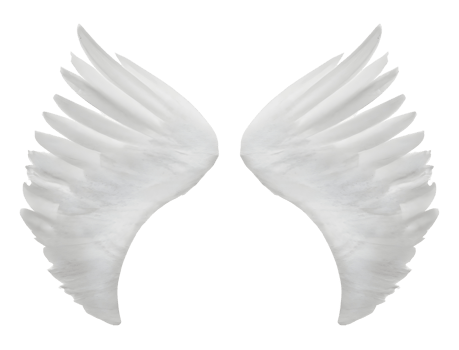 white angel wings. png