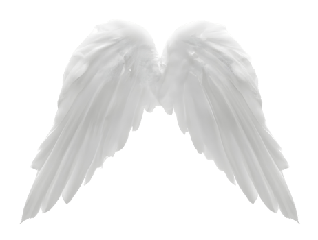 white angel wings. png