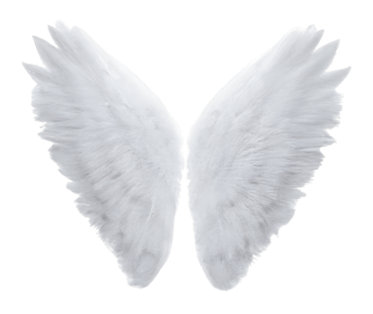 white angel wings. png